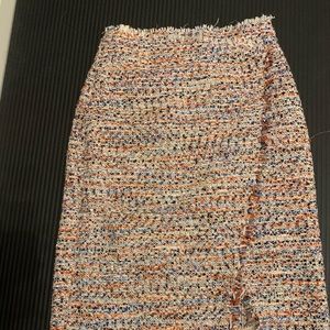 H&M Rose Skirt